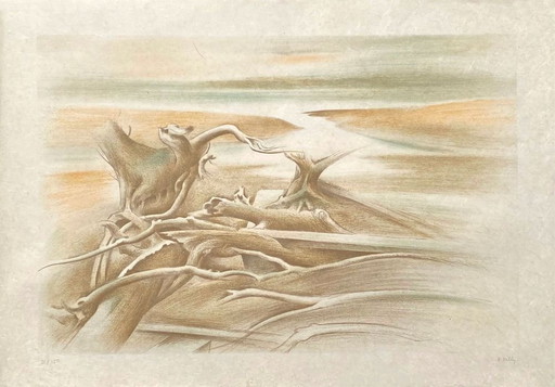 Bernadette KELLY Bois flottés Signed lithograph 1980