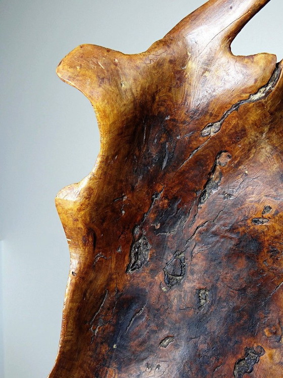 Image 1 of Grande coupe monoxyle en bois brut d'olivier foncé années 50