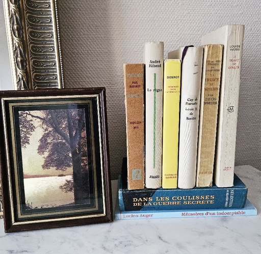 Set van 8 antieke boeken: Geschiedenis en memoires van Napoleon, Verzet, Lucien Auger, Diderot, inclusief losse lijst.