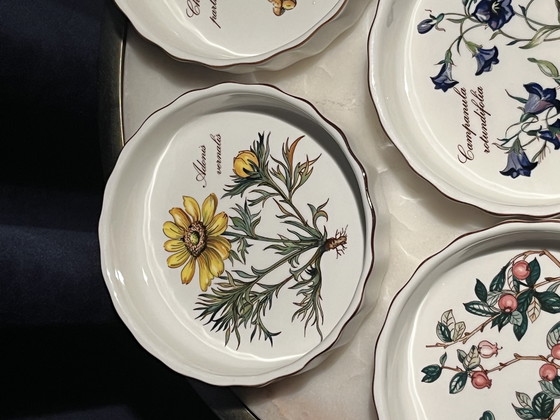 Image 1 of Juego (6) cuencos Villeroy & Boch Vilbofour Botanica
