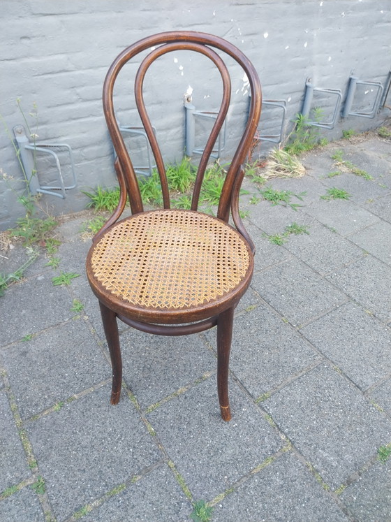 Image 1 of 1 juego de 4 Thonet Modelo 14 de la década de 1920 en perfecto estado.