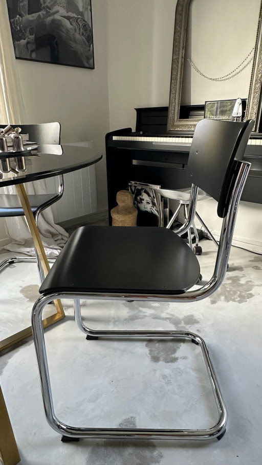 S43 THONET Stuhl