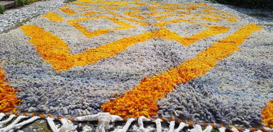 Image 1 of Hand-knotted Berber wool rug 243x160cm