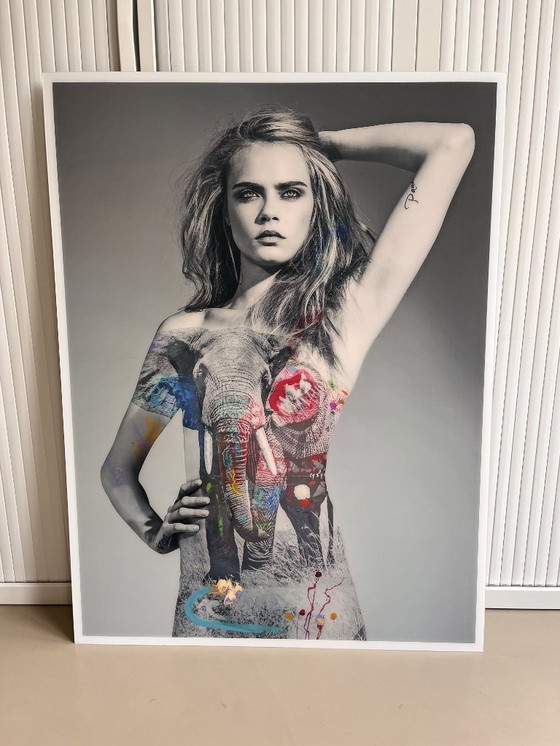 Image 1 of Arno Elias – I’m Not A Trophy-serie - Cara Elephant