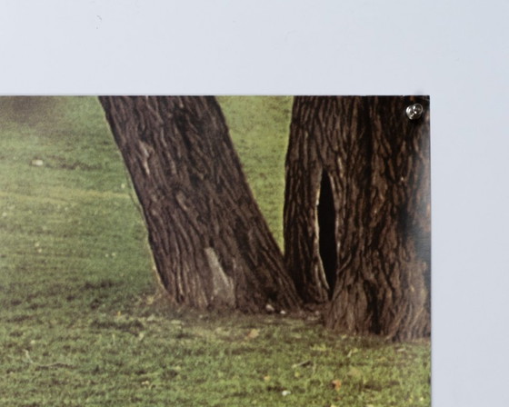 Porsche 911 – Poster Porsche vintage originale degli anni '70 di Werbeagentur Strenger – Moderno Mid-Century (photo 5 of 8)