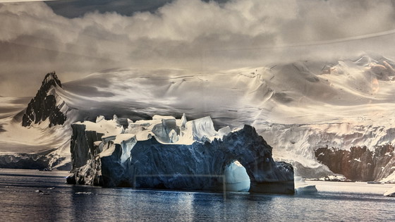 Image 1 of Steve McCurry - Galerie de IJzeren Man - Antartide di Steve McCurry - Anni 2000