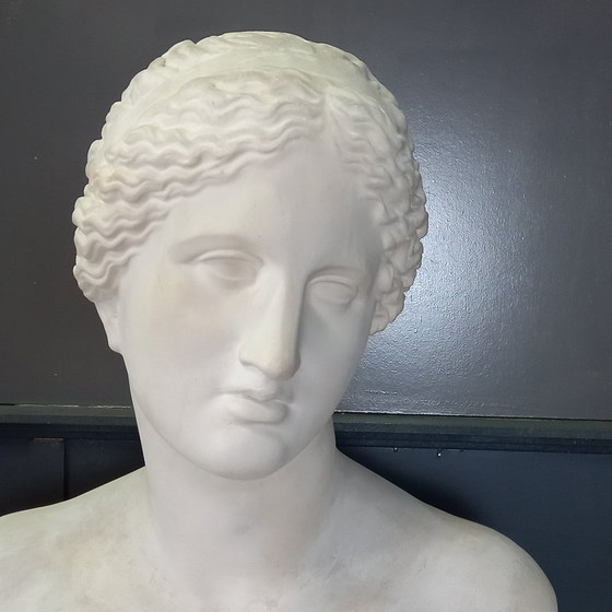 Image 1 of Busto excepcionalmente grande de tamaño natural de la Venus de Milo, busto grande de yeso