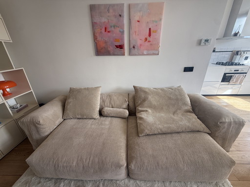 Vetsak Couch Cord Velour Sand in einwandfreiem Zustand