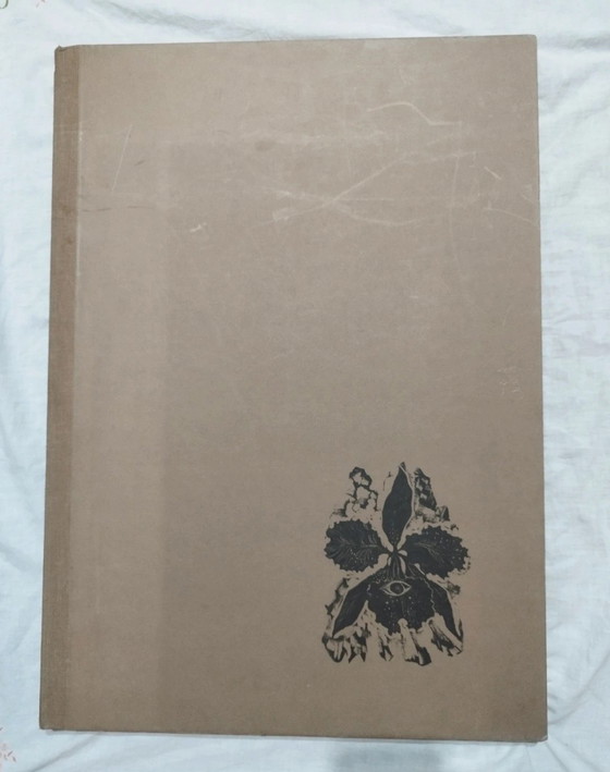 Baudelaire, La sainte jeunesse: Complete folder with linoleum by Carla Tolomeo ex. 75/75, 63x45 cm (photo 15 of 15)