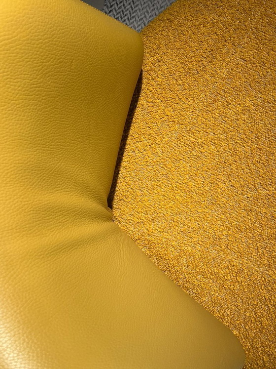 Image 1 of Leolux Pallone