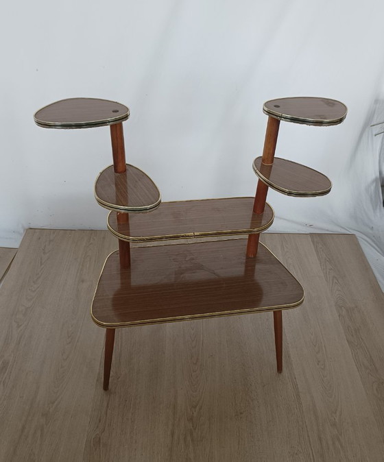Zestiger Jaren Plantentafel – Metal, Wood (photo 3 of 8)