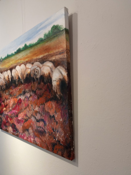 Image 1 of T. van Steenbergen "sheep on the Blaricum heath"