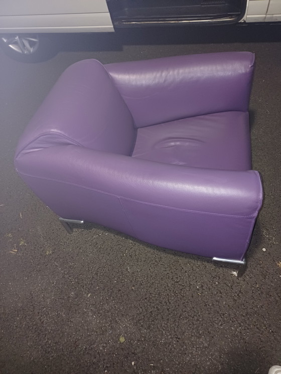 Image 1 of Monty van Bert Plantagie