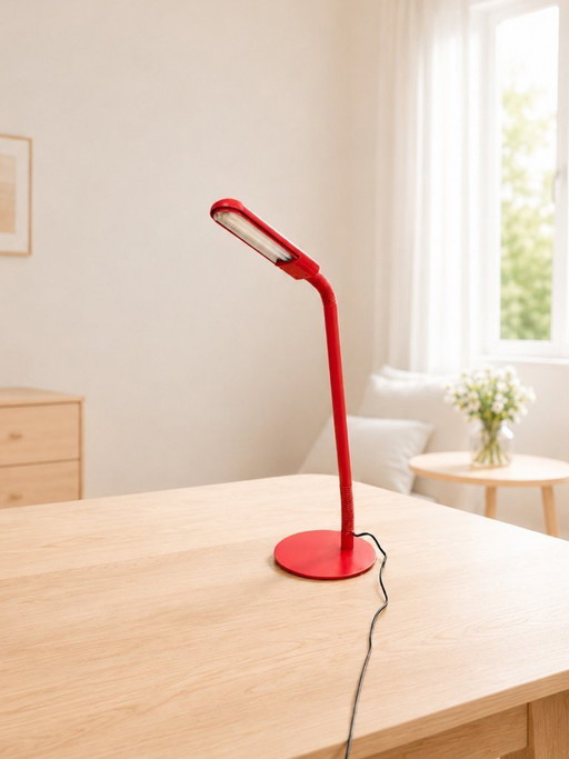Vintage Manade Floor Lamp Design Ph. Michel – Made in France 1980s, Adjustable Red Lamp