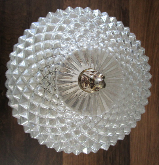 Image 1 of Techo de piña Riñón Posible/Probablemente Sciolari