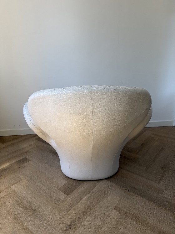 VGnewtrend Pansé Armchair – VG newtrend, Other (photo 4 of 6)