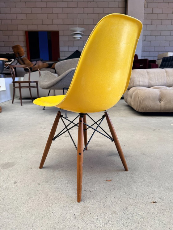 Sedia Eames DSW di Herman Miller in fibra di vetro – Sedie da pranzo, Metal, Wood (photo 8 of 9)