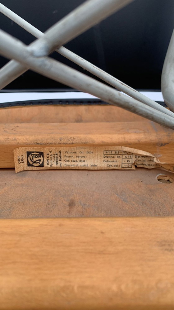 Image 1 of Sedie da pranzo di metà secolo di Miroslav Navrátil per TON, anni '60 (set di 4)