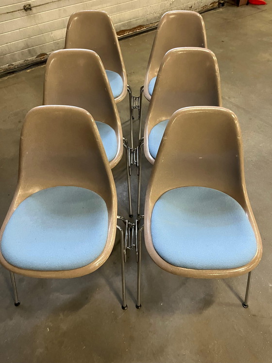 Image 1 of 6x Vintage Fiberglass DSX Chairs Dining Room Chairs Vitra Eames