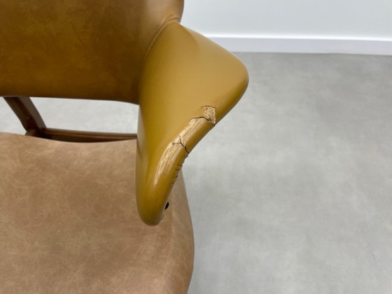 Image 1 of Louis van Teeffelen für das Wébé Penguin Restoration Project