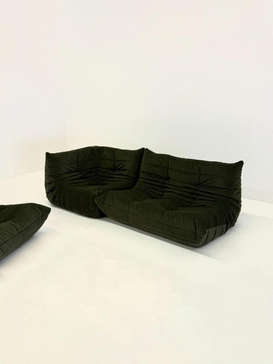 Image 1 of Ligne Roset Togo elemento angolare a 1 posto in velluto verde scuro