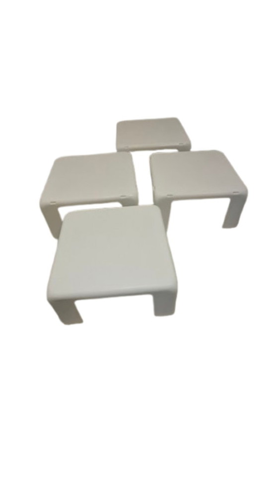 Image 1 of Four Cats C&B Italia