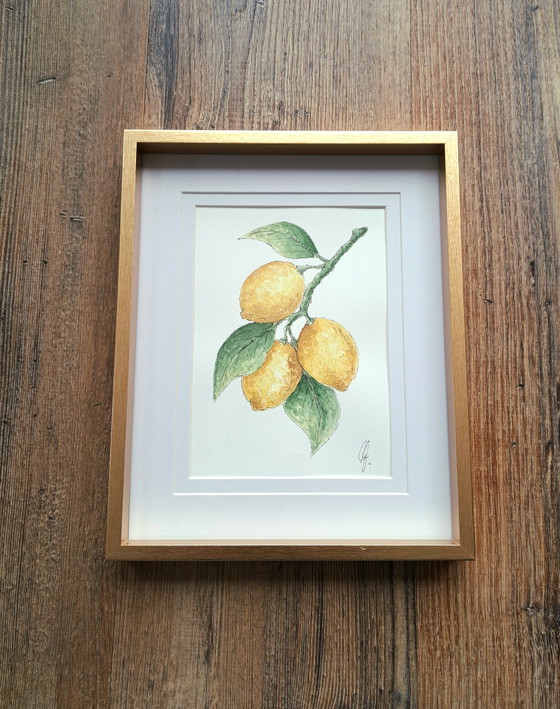 Image 1 of Aquarelle originale représentant des citrons, avec cadre doré.