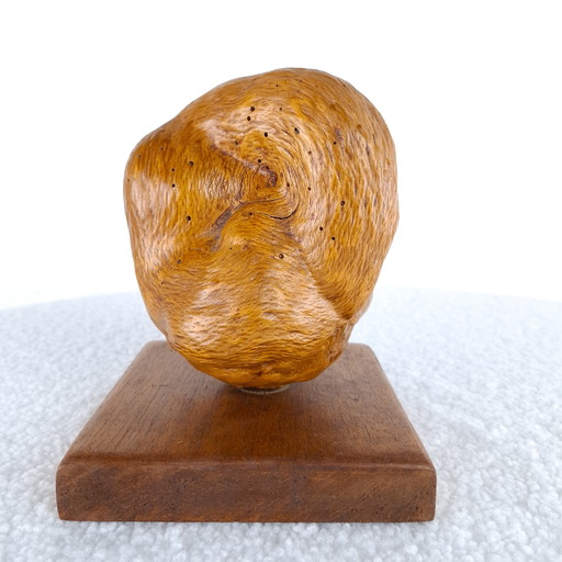 Scultura/statua in legno vintage forma organica anni '70