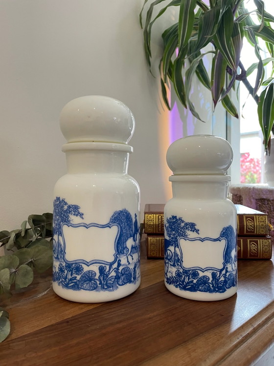Barattoli da farmacia vintage – Oggetti decorativi (photo 2 of 2)