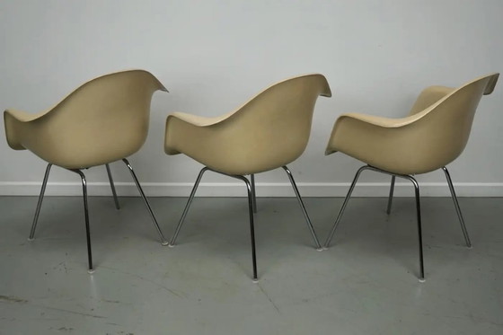 Image 1 of Set di tre poltrone DAX in fibra di vetro color pergamena, Eames per Herman Miller / Vitra