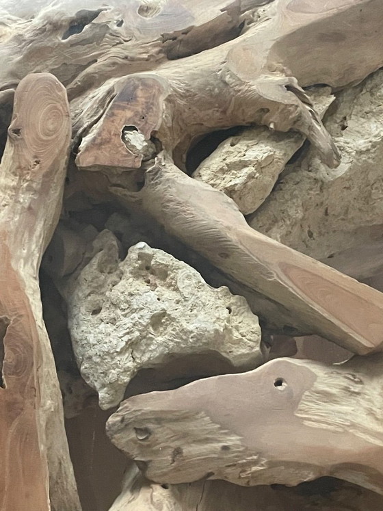 Image 1 of Coffee table Mangrove roots
