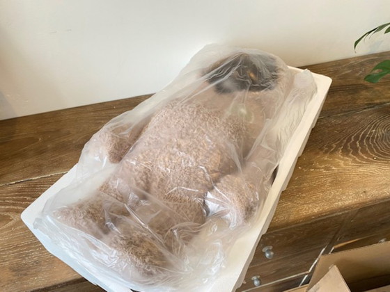 Image 1 of Bearbrick Gelato Pique Marrone Beige BEG 1000% 70cm Medicom 2022