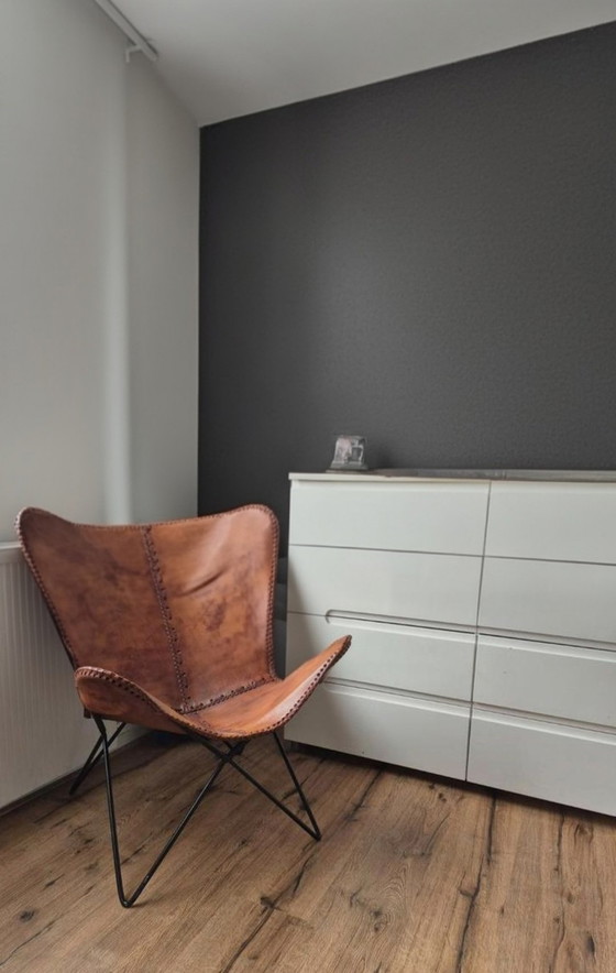 Image 1 of Sedia a farfalla in pelle