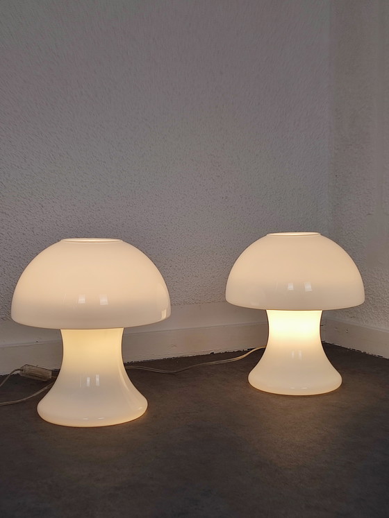 Image 1 of Set 1970S - s.e.c. France - mushrooms 