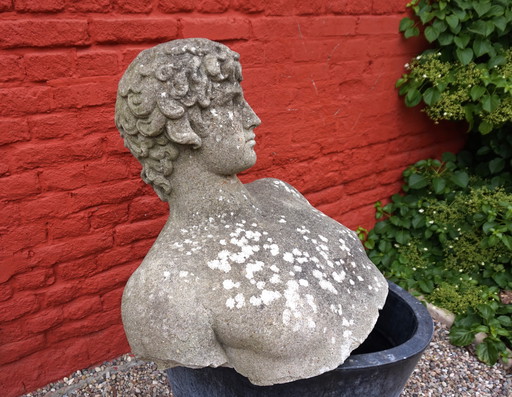 Weathered Garden Sculpture: David Concrete Bust