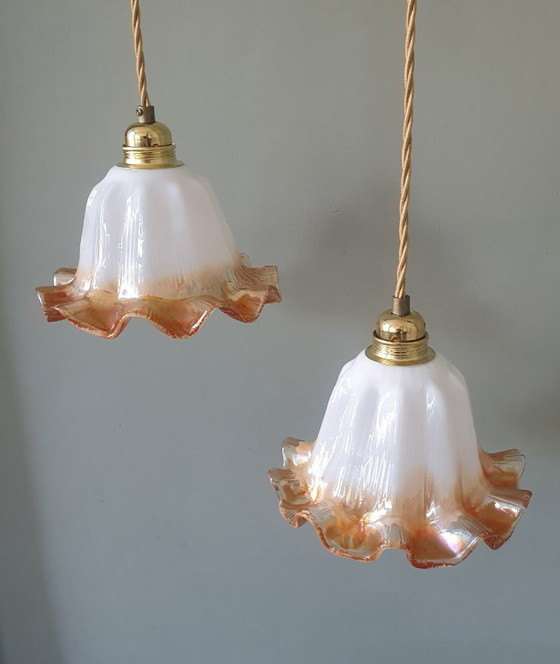 Set of Vintage Glass Pendant Lights. Floral / Flower-shaped Glass – Pendant lamps, Metal (photo 3 of 24)