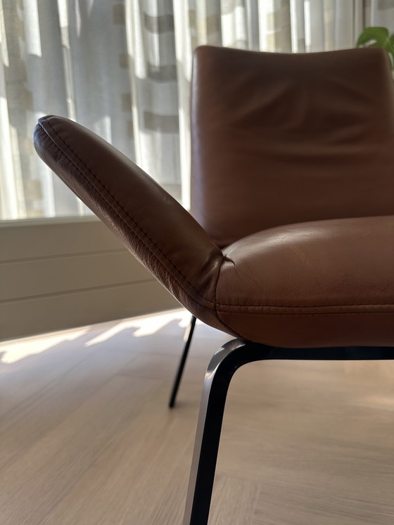 Image 1 of Ottime condizioni Design on Stock Poltrona Komio - Pelle cognac - NP: €1.829