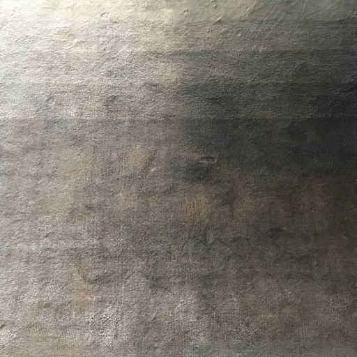 Brinker Carpets Samtteppich - 200x300