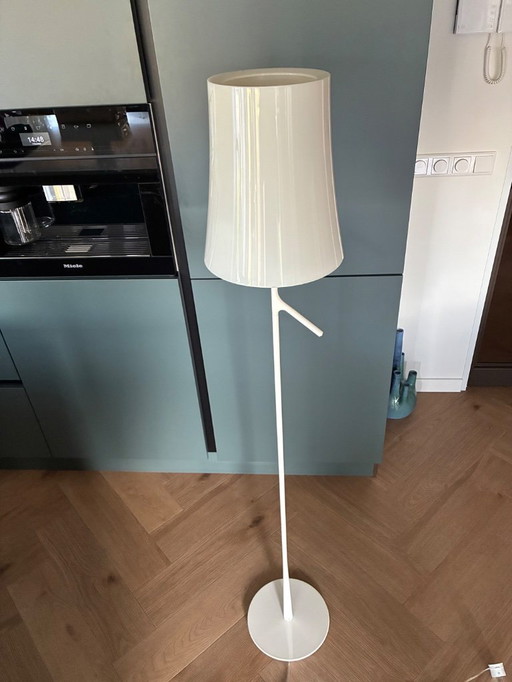 standing twilight lamb