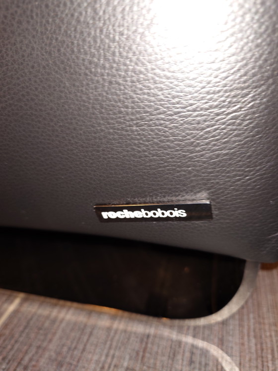 Image 1 of Divano Roche-Bobois