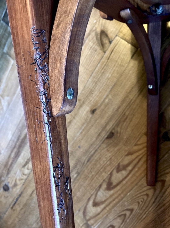 Image 1 of Coppia di sedie Stella vintage in legno, anni '50