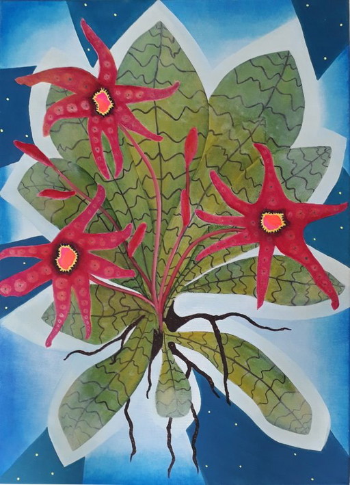 Stella Maris, star of the sea