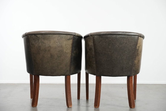 Image 1 of 2 sedie a vasca in pelle di mucca e legno con una bella e robusta combinazione di colori