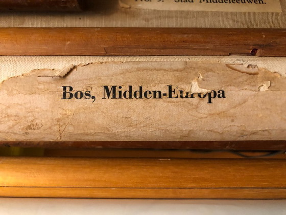Image 1 of Vintage schoolplaat schoolkaart Midden-Europa 120 x 90  Bos Zeeman