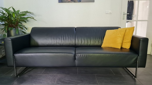 Canapé Artifort Mare, 2,5 places en cuir, designer René Holten