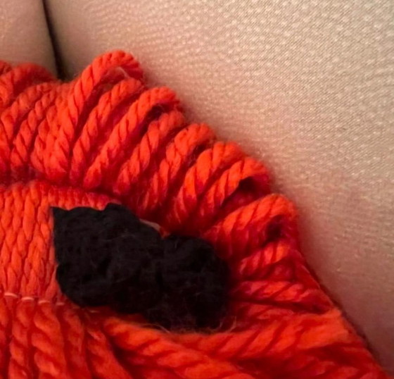 Image 1 of Sonia Rykiel x H&M pop