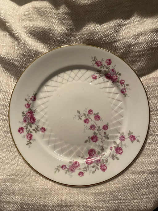 Retro vintage PorzellanTeller Goldrand Blumendekor 