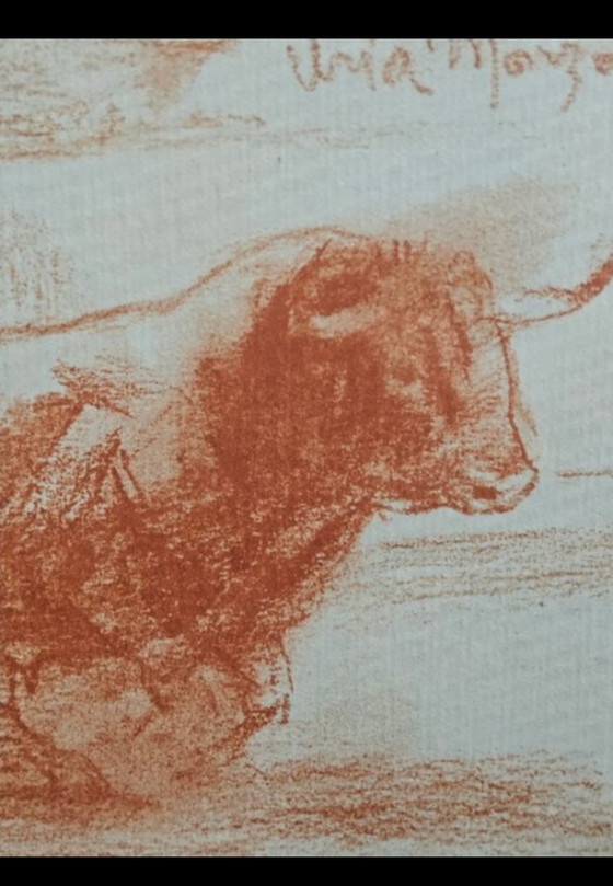 Image 1 of Sale el Toro frame, Monzón