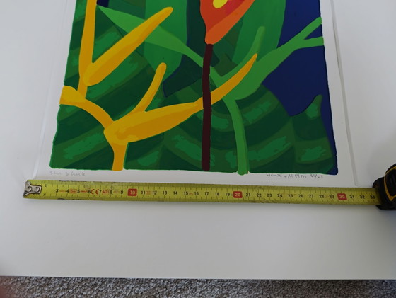 Sérigraphie * Henk van der Plas – Lithographies et sérigraphies, Verre, Papier (photo 6 of 10)