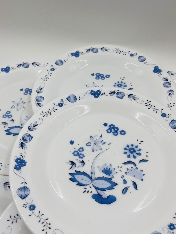 Image 1 of Lot de 8 assiettes model:Aster